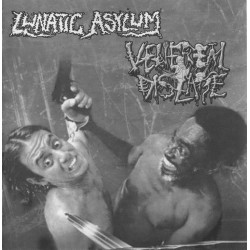 Venereal Disease / Lunatic Asylum  – Split
