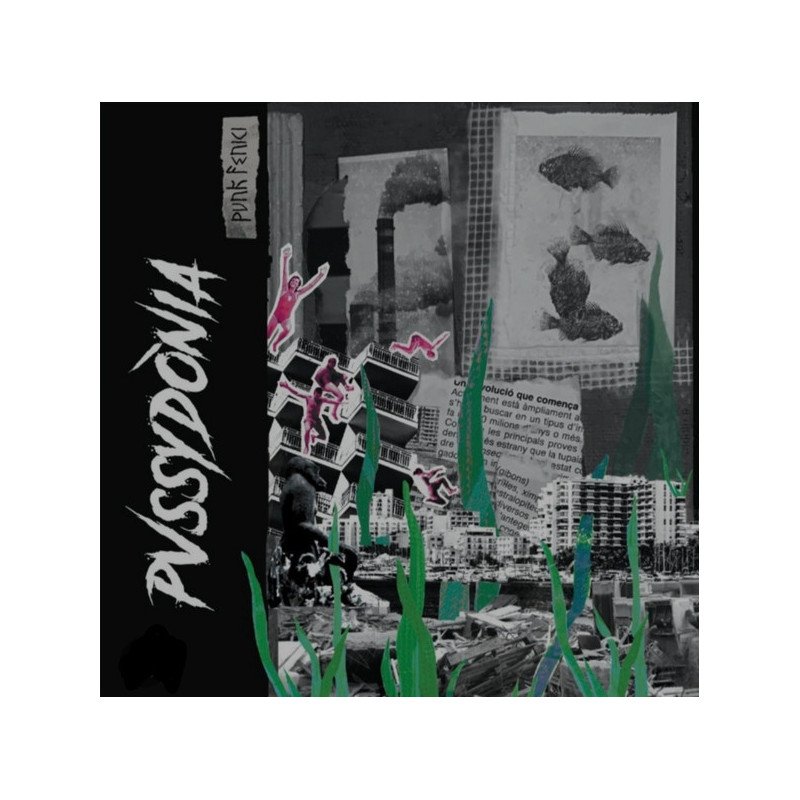 Pussydònia – Punk Fenici
