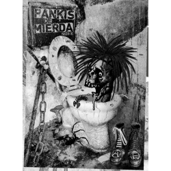 Pankis de mierda zine 0