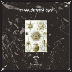 Cross Stitched Eyes ‎– Decomposition