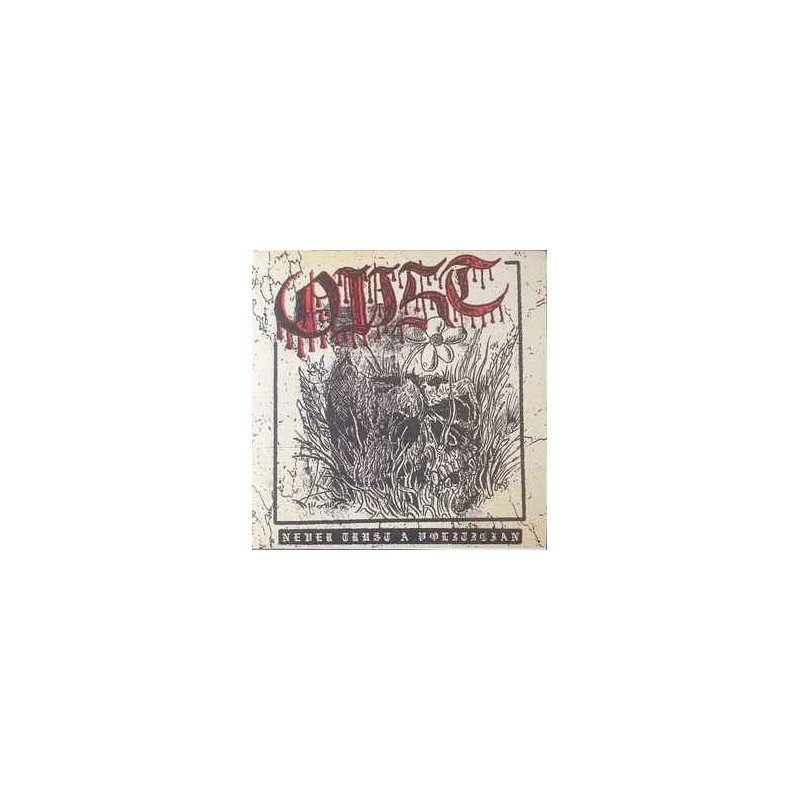 Oust ‎– Never Trust A Politician