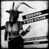 Santa Espina / Endora Y Sus Vicios ‎– Santa Espina / Endora Y Sus Vicios