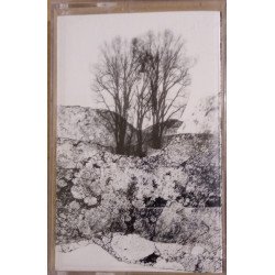 Friedrich  ‎– Naturaleza Muerta