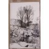 Friedrich  ‎– Naturaleza Muerta