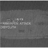 Kärnvapen Attack / Disyouth ‎– Split