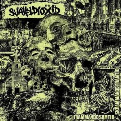 Svaveldioxid – Främmande Samtid Skrämmande Framtid