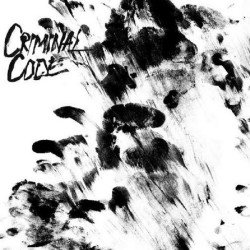 Criminal Code – Salvage